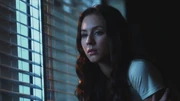 PLL219-01211