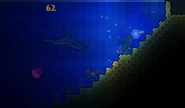 Ocean monsters