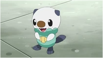 EP743 Oshawott de Ash