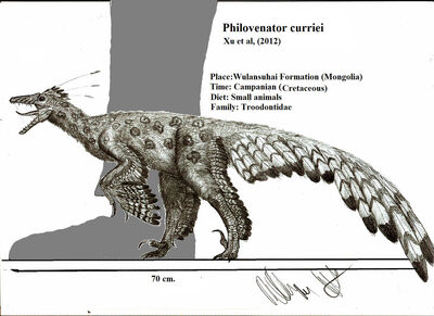 Philovenator curriei by teratophoneus-d4yyedl