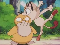 EP112 Meowth usando Mordisco