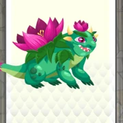 Nenufar dragon lv4-6