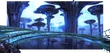 Bridge1-ffix-terra