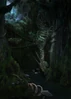 EvilForestTrail6