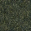 Qu'sMarshThicket1