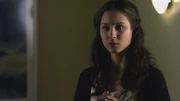 PLL223-01162