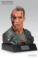 T-8---bust-lifesize-01