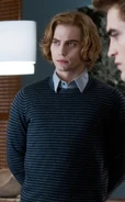 Jasper Fancy Eclipse