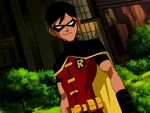 Robin YJ 3