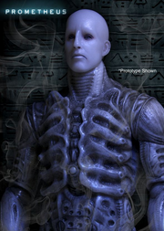 Trueform