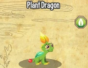 Plant dragon lv1-3