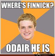 Finnick-meme