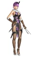 Ngs2-dlc-ayane