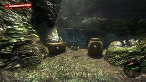 564px-Skull Shrine, Unknown