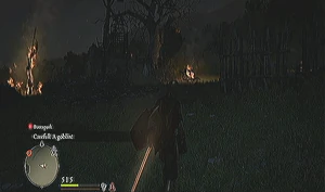 Eradication Site