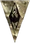 TESMorrowindIcon