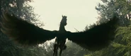 Pegasus4