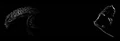 Thumbnail for version as of 15:17, June 14, 2012