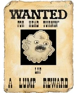 Wantedposter (7)