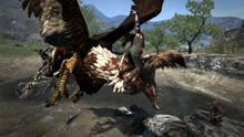 Griffin2