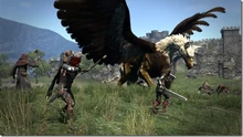 Griffin3