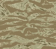Desert Tiger