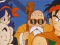 Roshi gives his opinions