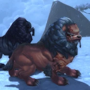 Seeker's Point Yao screenshot