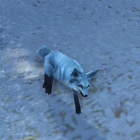 Kun-Lai Summit Arctic-Foxling00