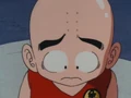 Krillin being bullied