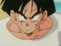 Yamcha is mad