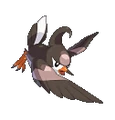 Staravia Conquest.png