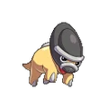 Shieldon Conquest.png