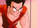 Yamcha 79886