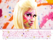 PF-Roman Reloaded booklet3