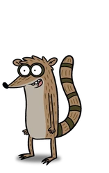 Rigby character