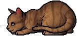 Onestar.kit.png (6 KB) Onestar.kit
