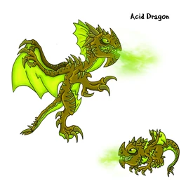 Acid Dragon