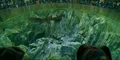 DragonEnclosure.png