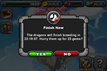 Solstice Dragon Timer