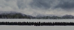 Volturi-whole