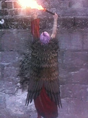 Harpy Cloak