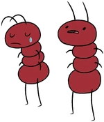 Ants