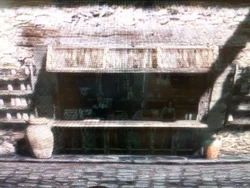 Camellia's Apothecary