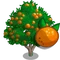 Bitter Orange Tree-icon