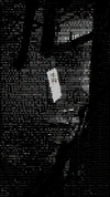 08176575.188