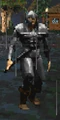 City Guard (Daggerfall).png