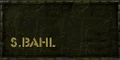 BXTOP N BAHL.png