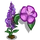 Fire Weed-icon