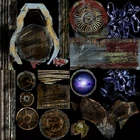 DogSheet5